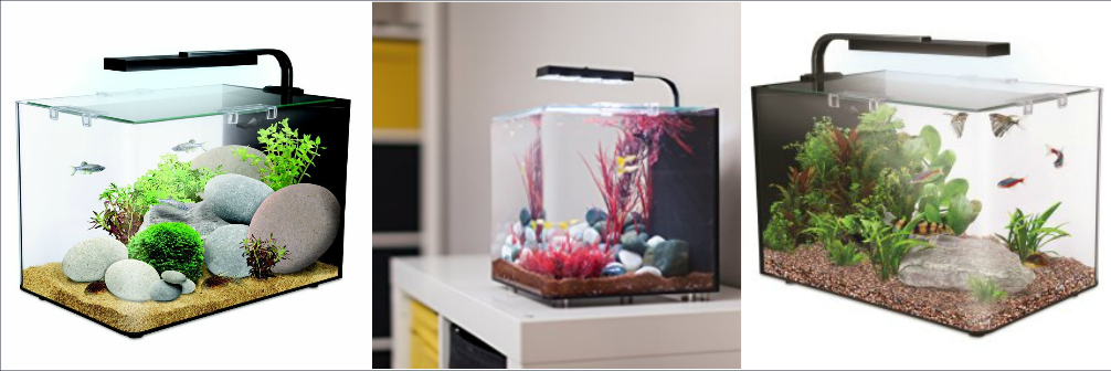 Best small aquariums - some setup ideas