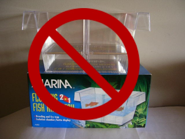 Avoid floating breeding traps for baby guppies