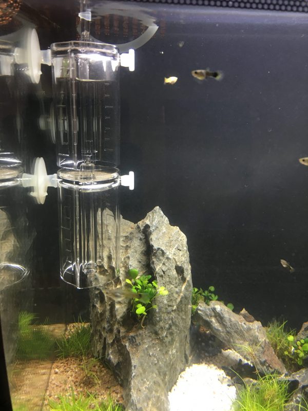 Fluval 20g mini co2 canister when empty