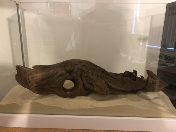 Bog wood with hole - design ideas for the Fluval Spec tank
