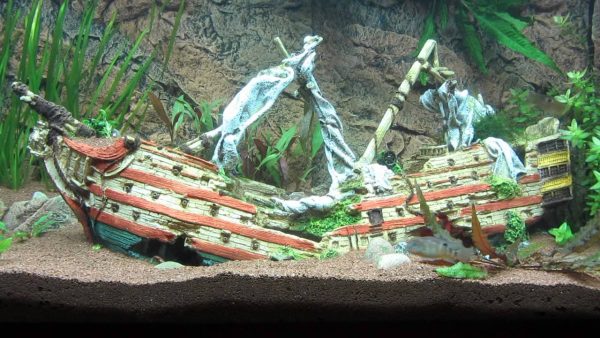 Ship wreck fish tank