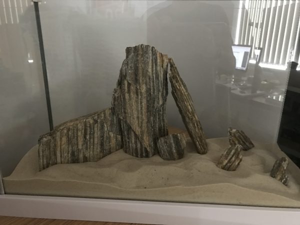 Stone setup in a small flex aquarium