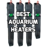 Best aquarium heaters