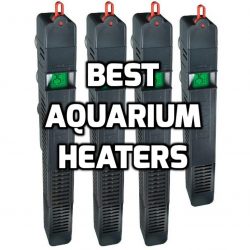 Best heaters for small aquariums guide promo image