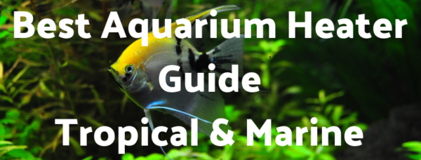Aquarium heater guide for tropical and marine tanks