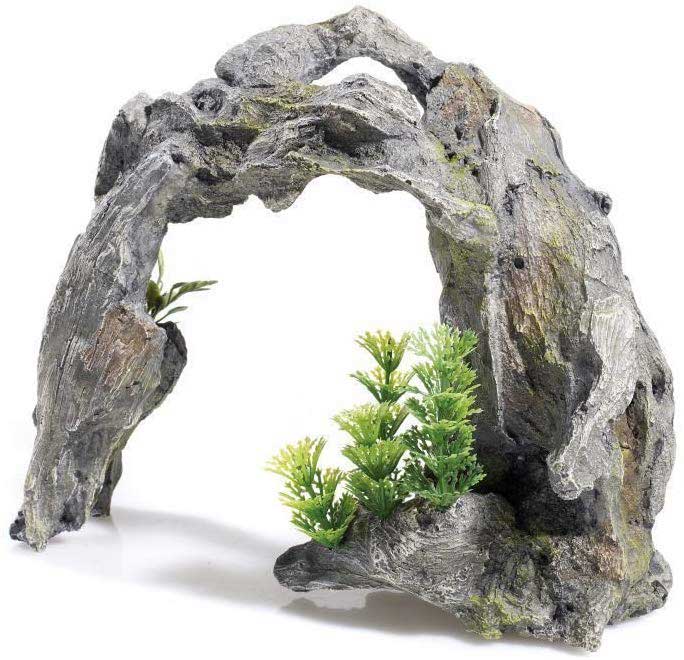 Classic Ornamental Driftwood Arch And Plants for Nano Aquariums