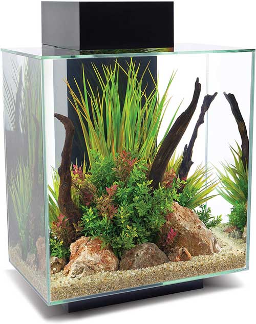 Fluval Edge 46 Litre Desktop Aquarium