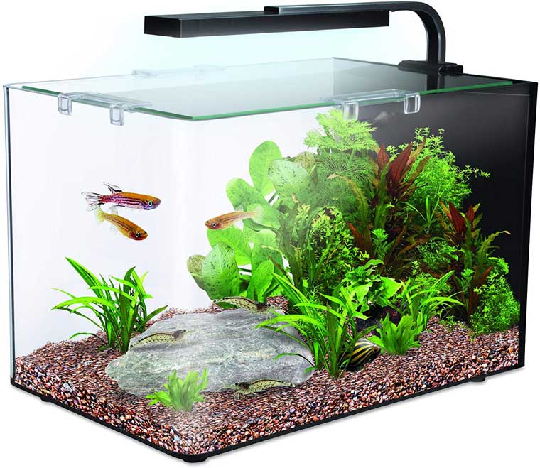 Small Tank Interpet Nano LED Complete Aquarium Fish Tank