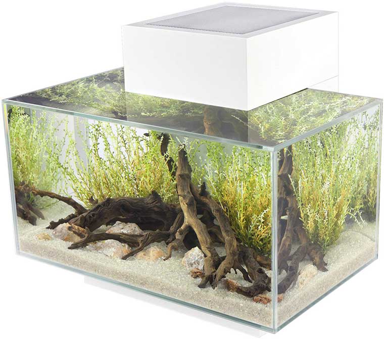 The modern Fluval aquarium - Full review setup