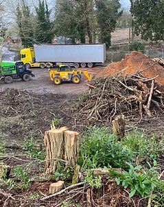 Bennett’s Tree Care Ltd. of Wokingham