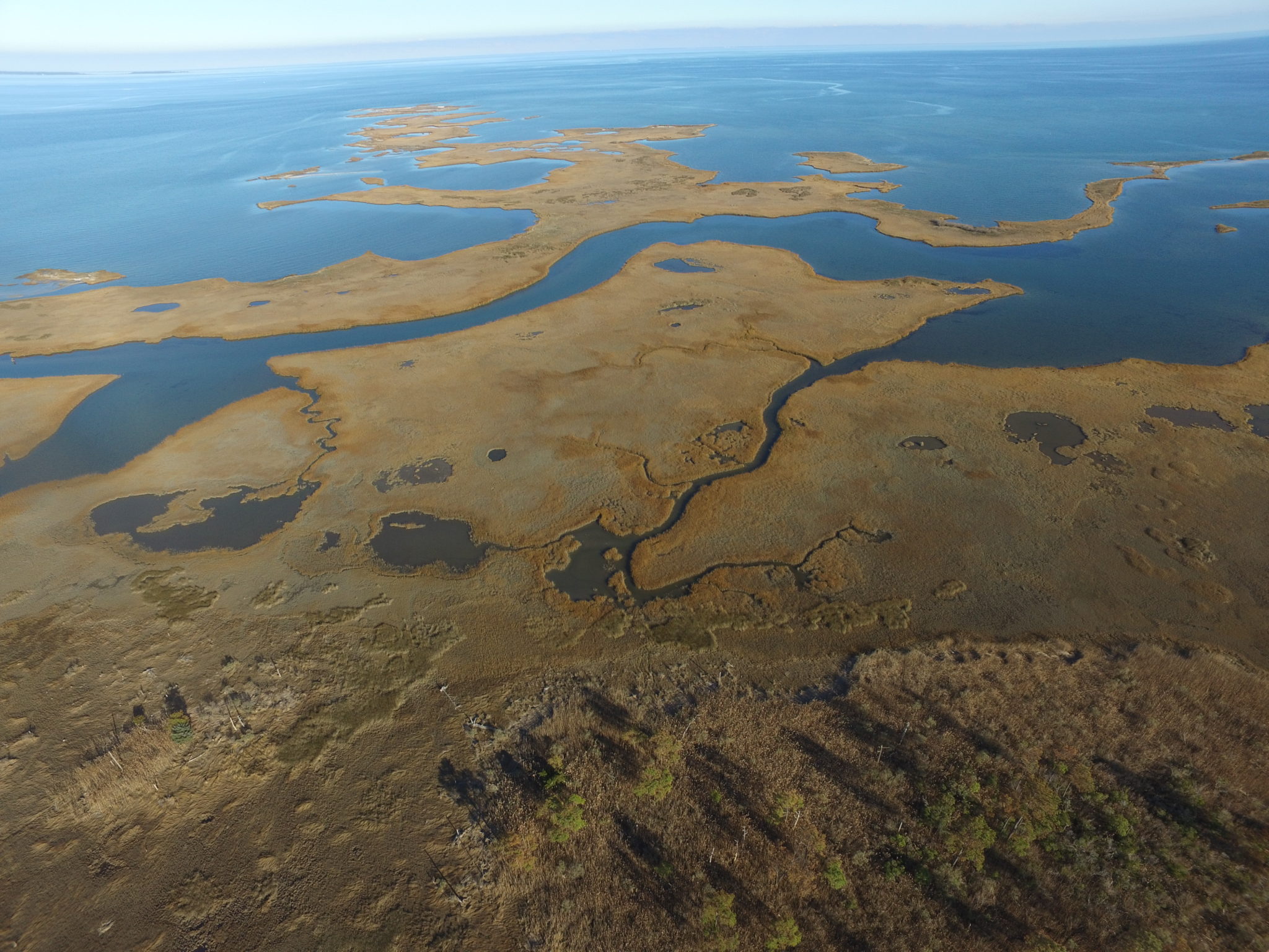 Chesapeake Bay Virginia National Estuarine Research Reserve