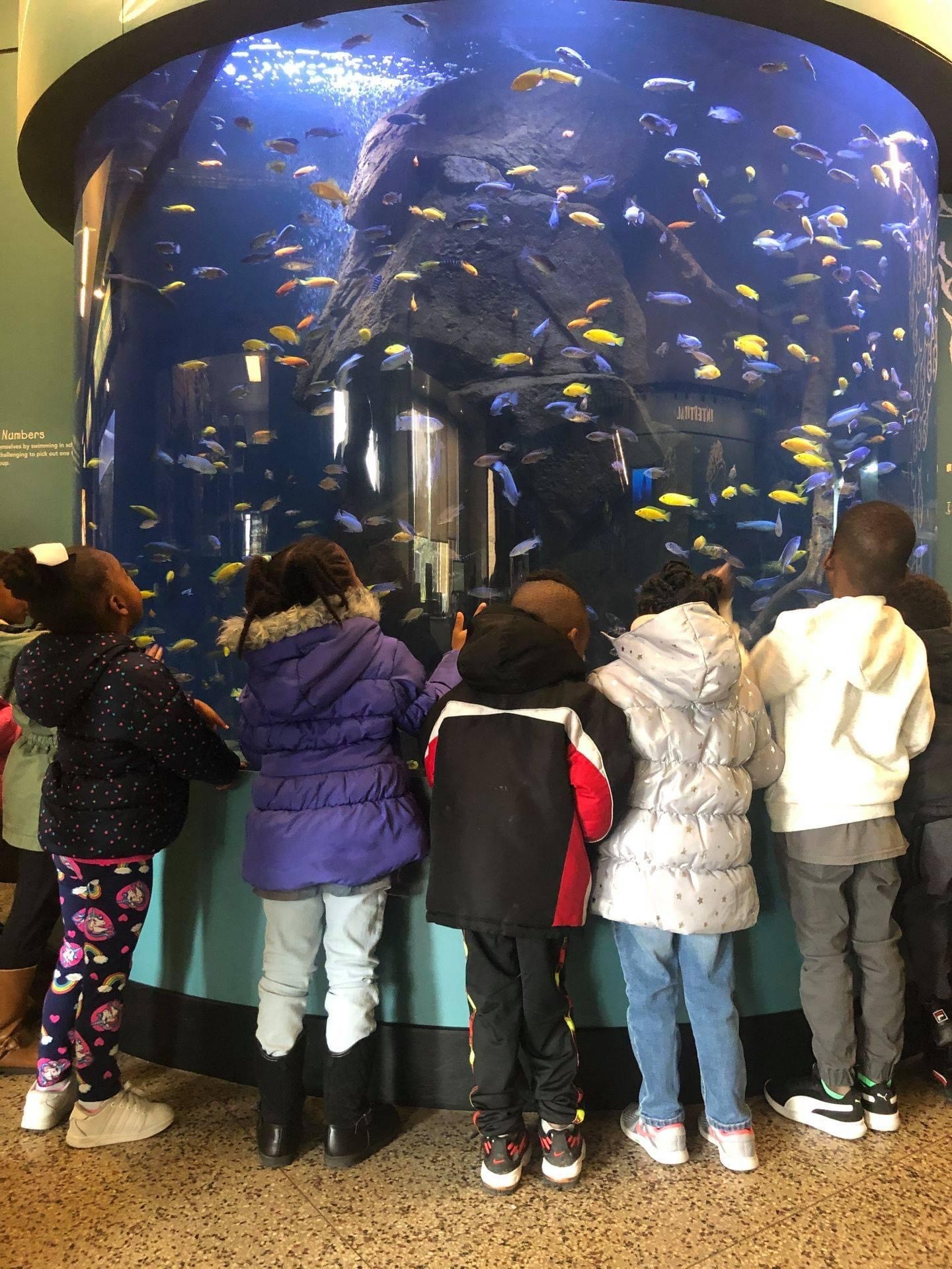 Children’s Aquarium