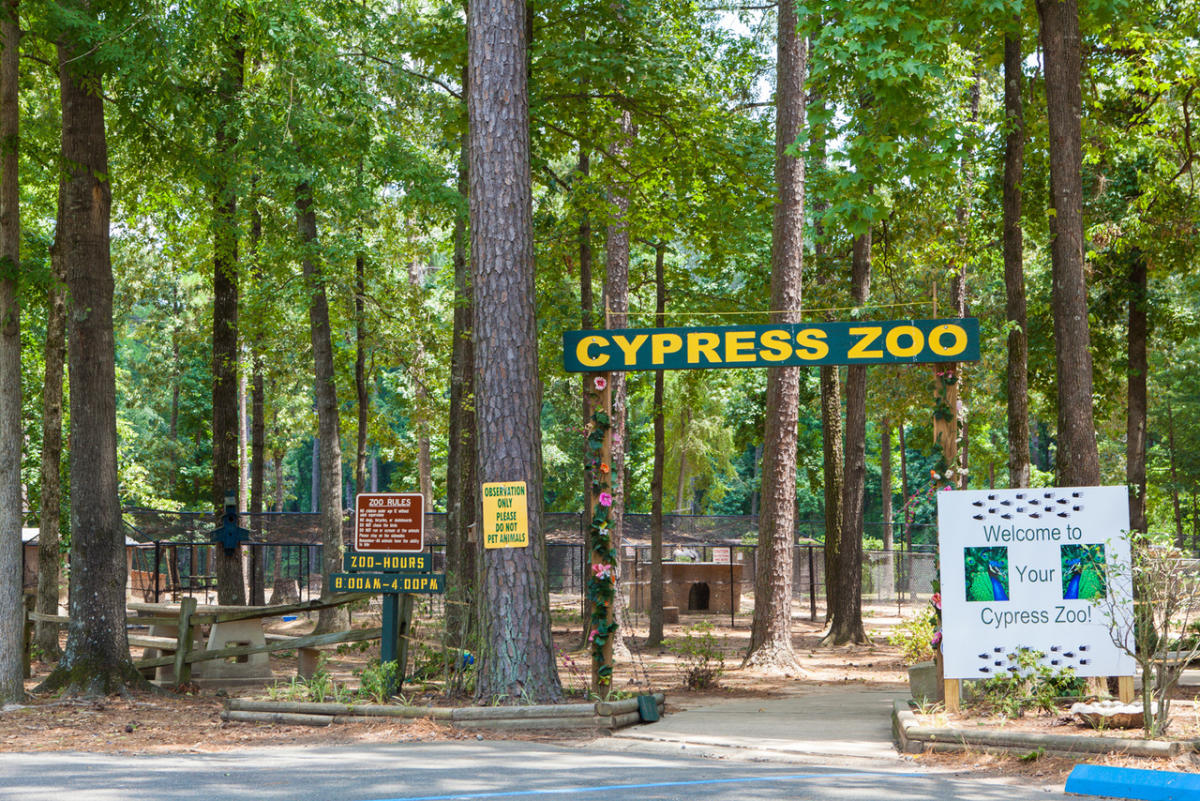 Cypress Black Bayou Zoological Association Garden