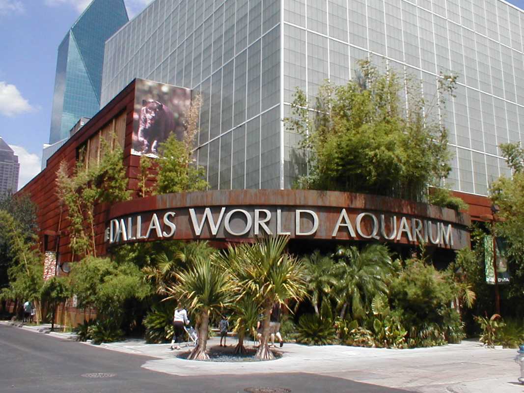 Dallas World Aquarium Corp