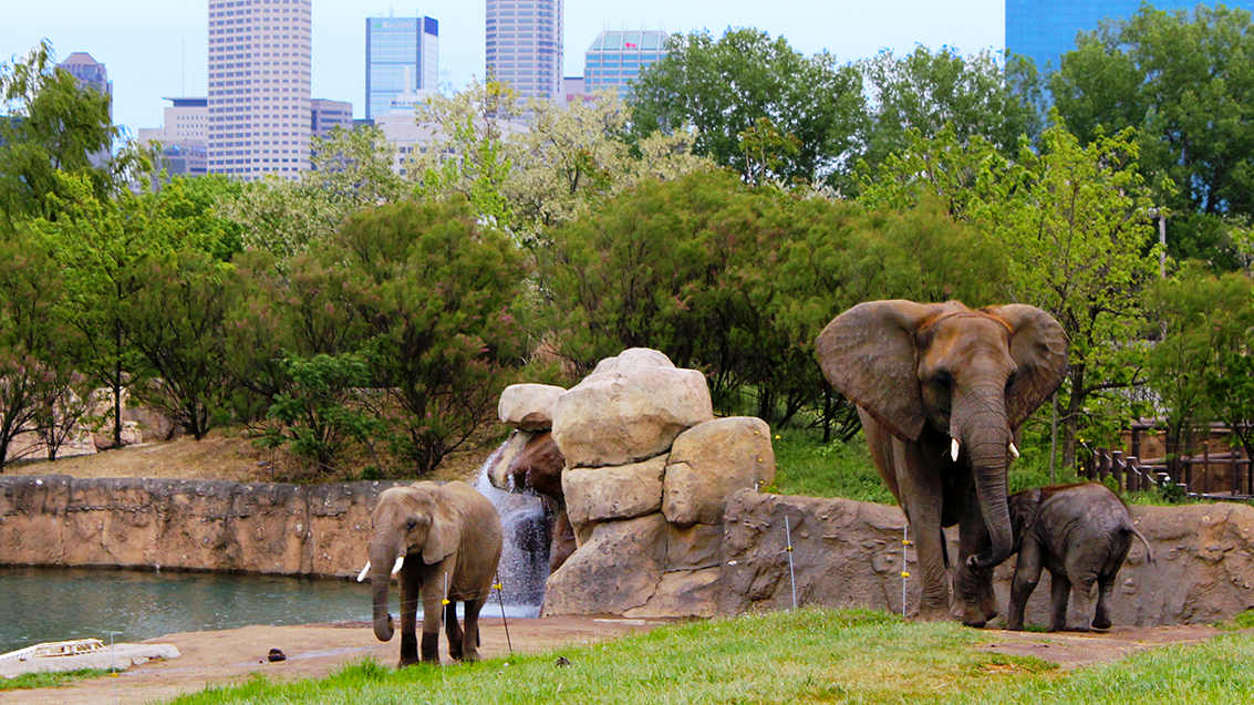 Indianapolis Zoological Society