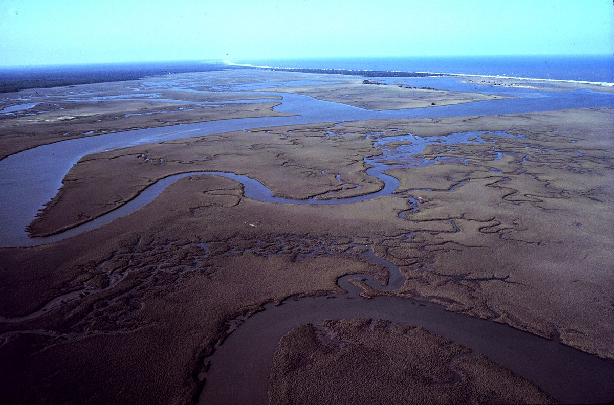 North Inlet-Winyah Bay National Estuarine Research Reserve