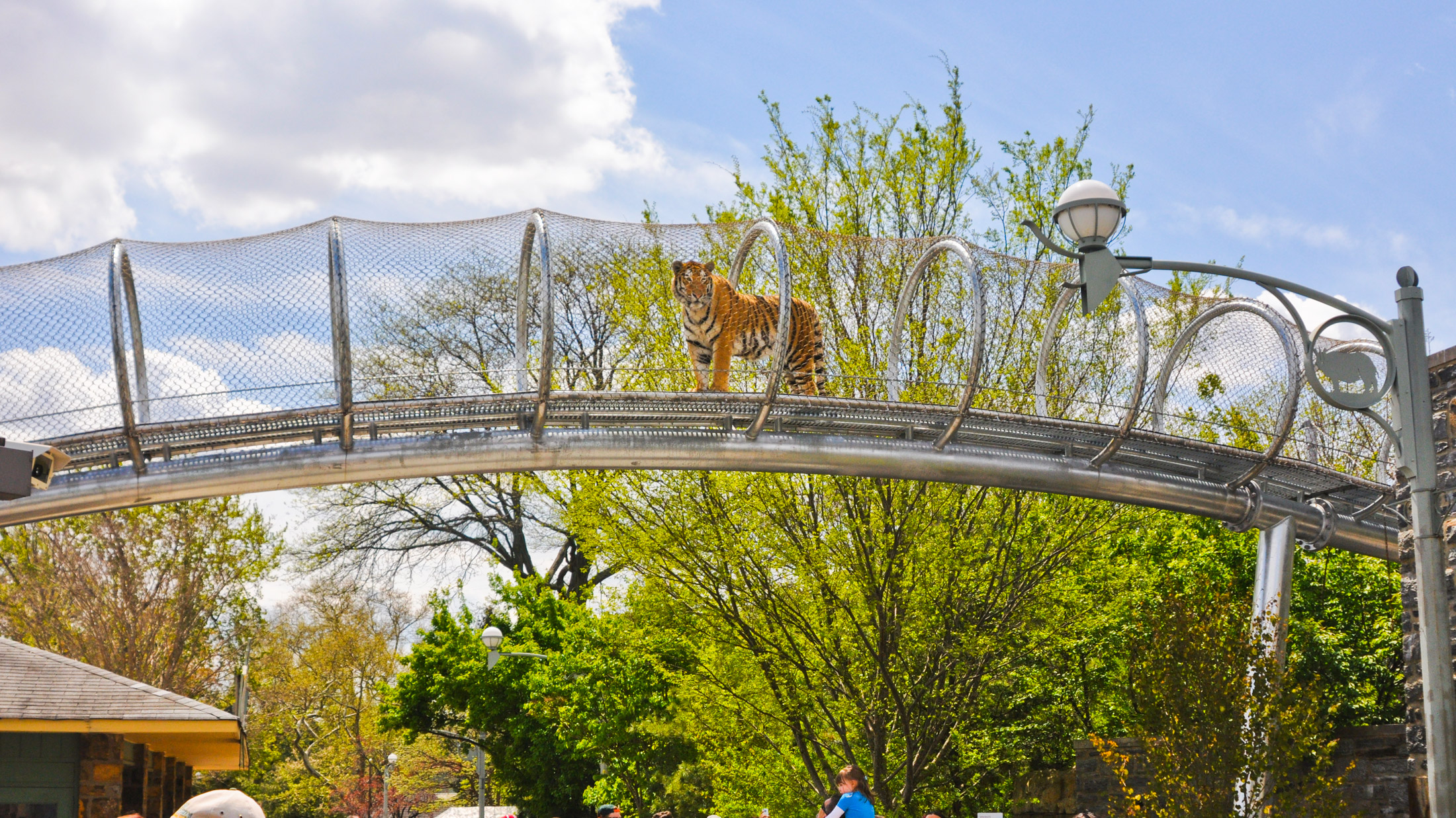 Philadelphia Zoo