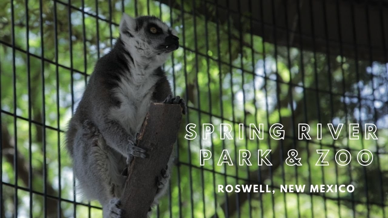 Roswell Zoo