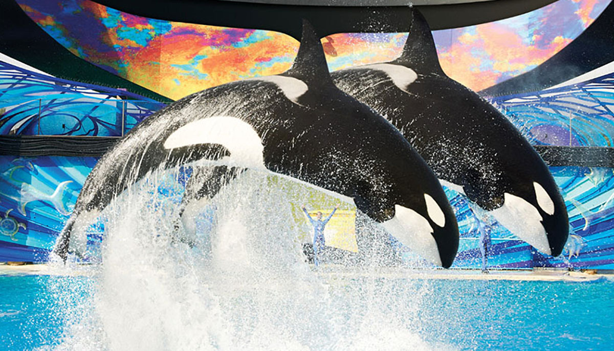 Seaworld San Antonio