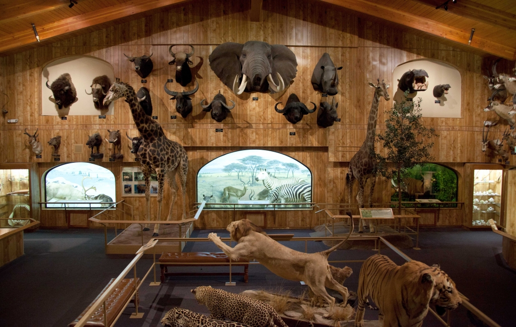 Wildlife Museum