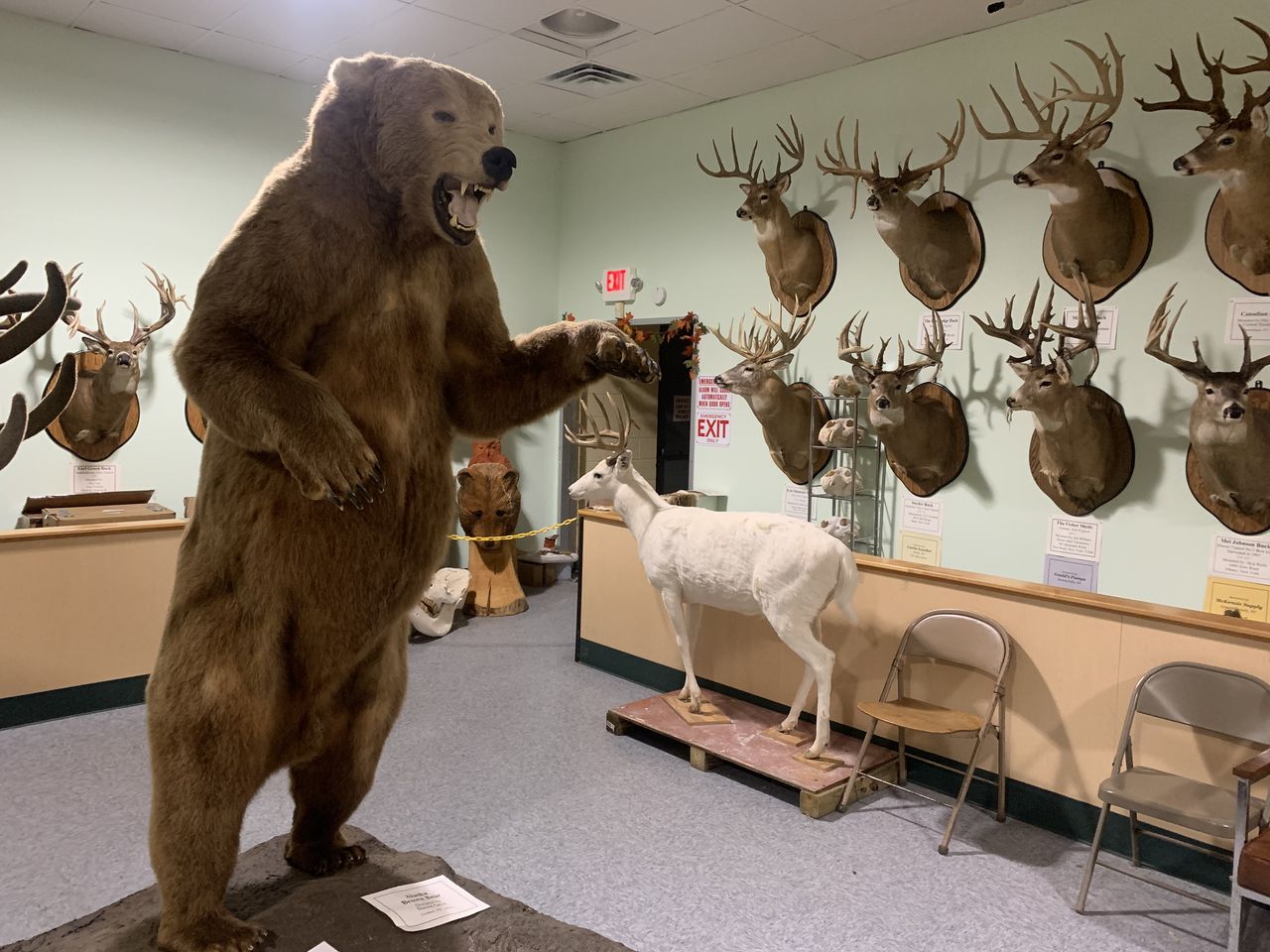 Wildlife Sports And Educational Museum