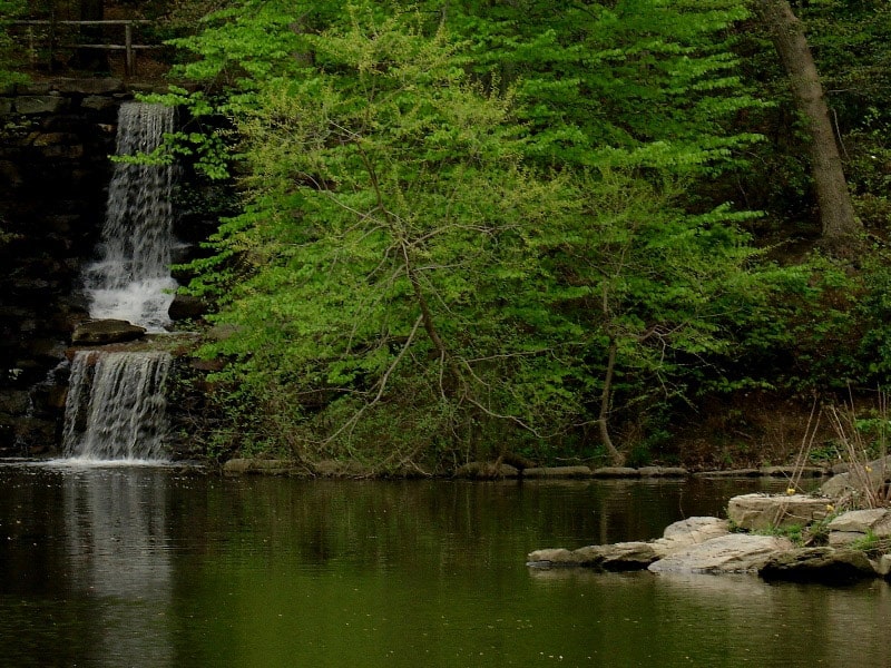 Winkler Botanical Preserve